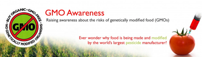 Risks of GMOs