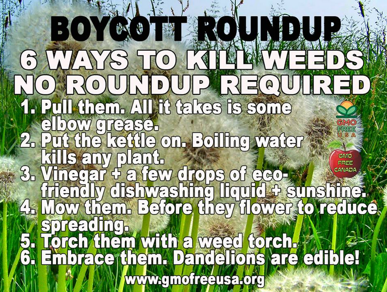 Boycott Roundup